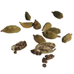 Cardamom (Essential Oil)